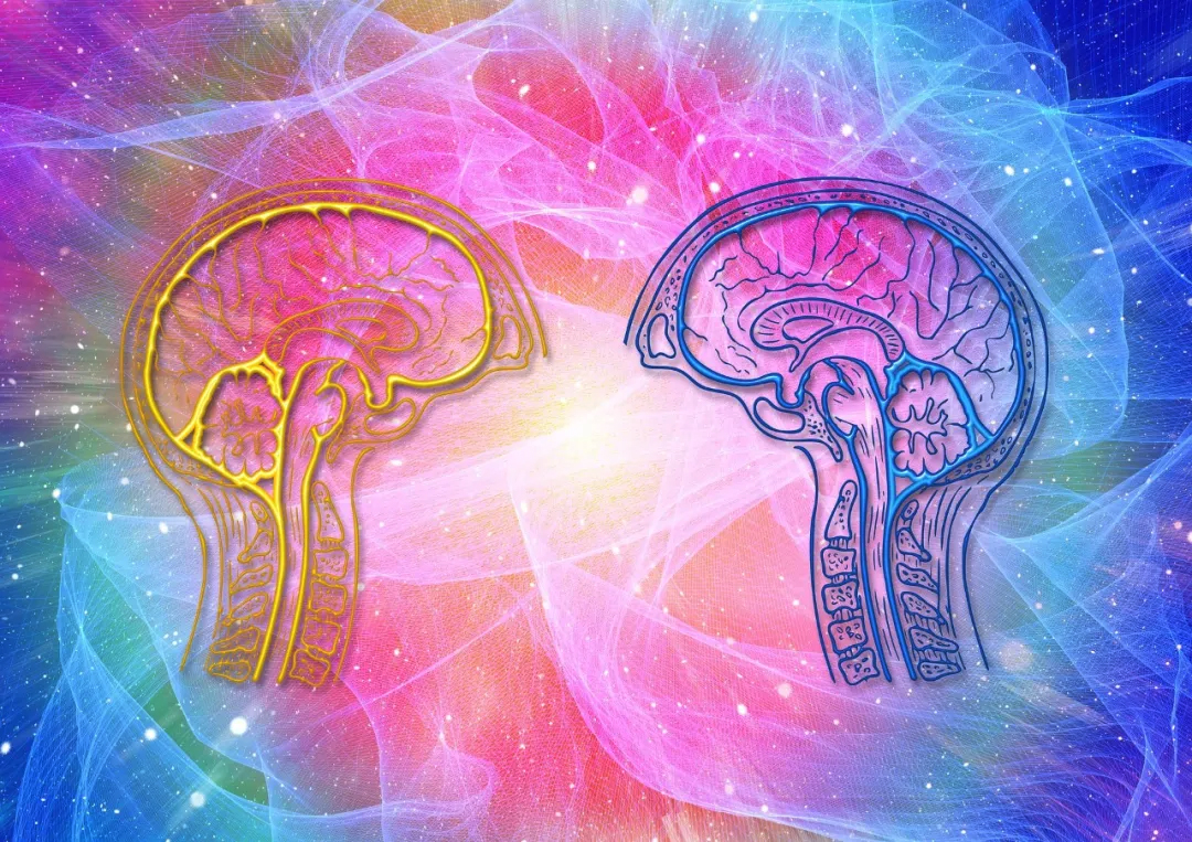 ʲô�ǘO���w򞣿