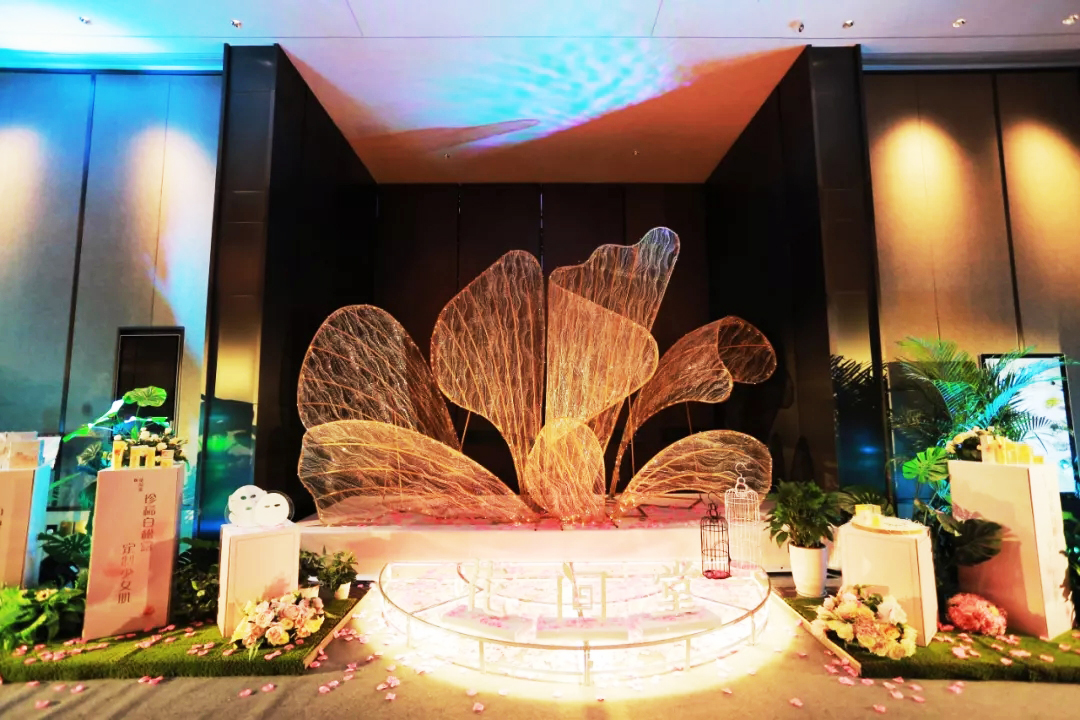 ʲô����d������M(j��n)��չ�d��d����-2