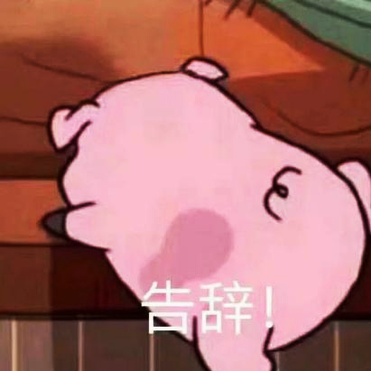 ���o����