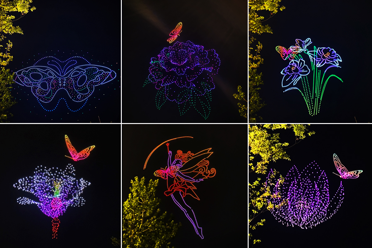 中國花博會無人機表演