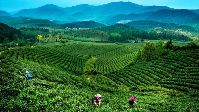 �Ї�����ƌW�󣺾�������ؚ�� ������ͬ��ԣ