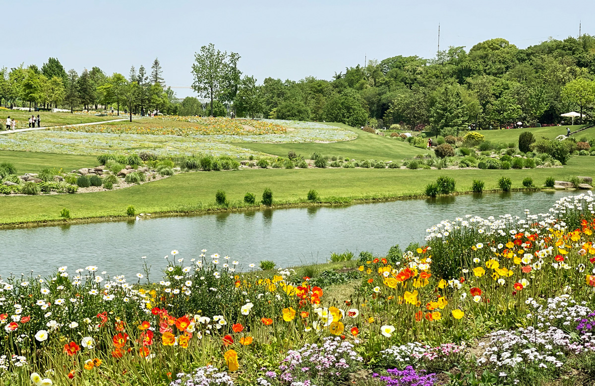 �p�����}����һ�Έ@��(hu��)