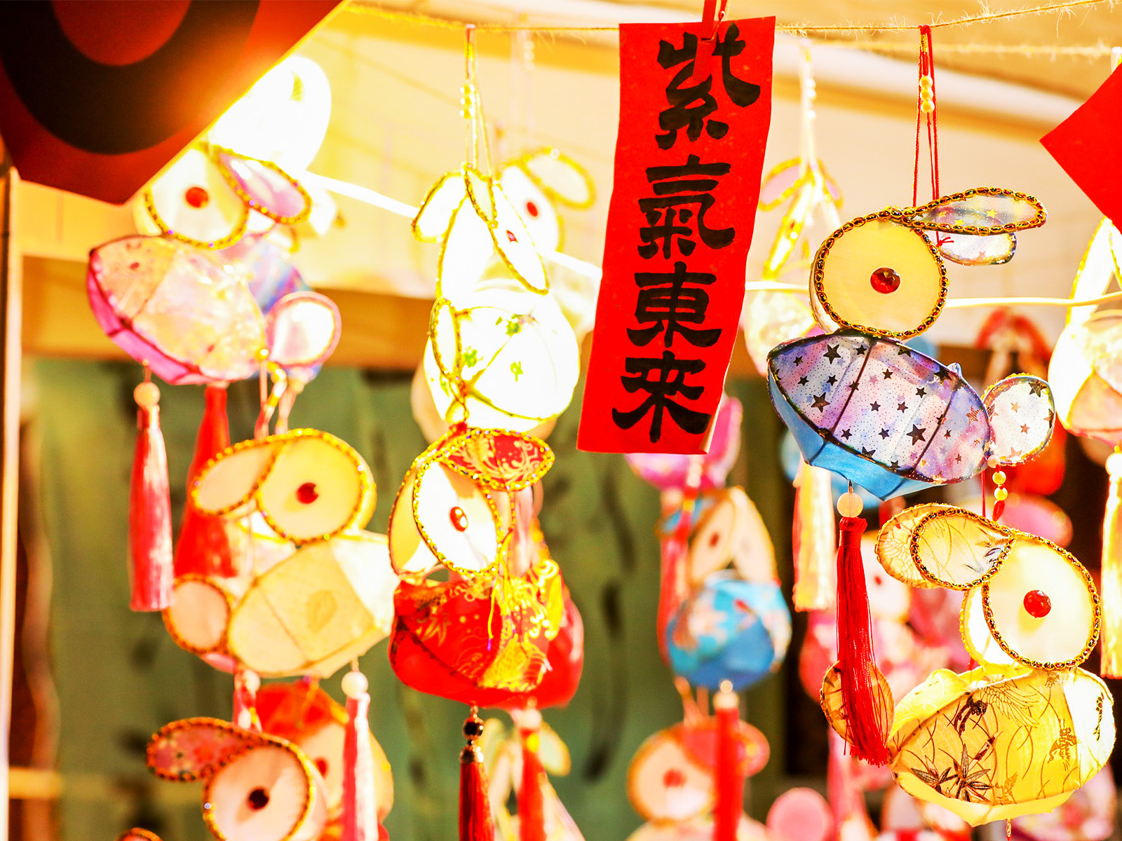 ���л�Ӳ߄�����