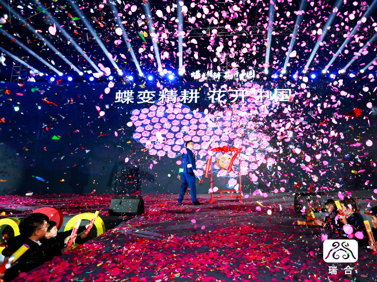 ��˾����c���