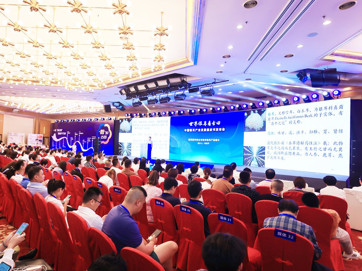 �aƷ�l����