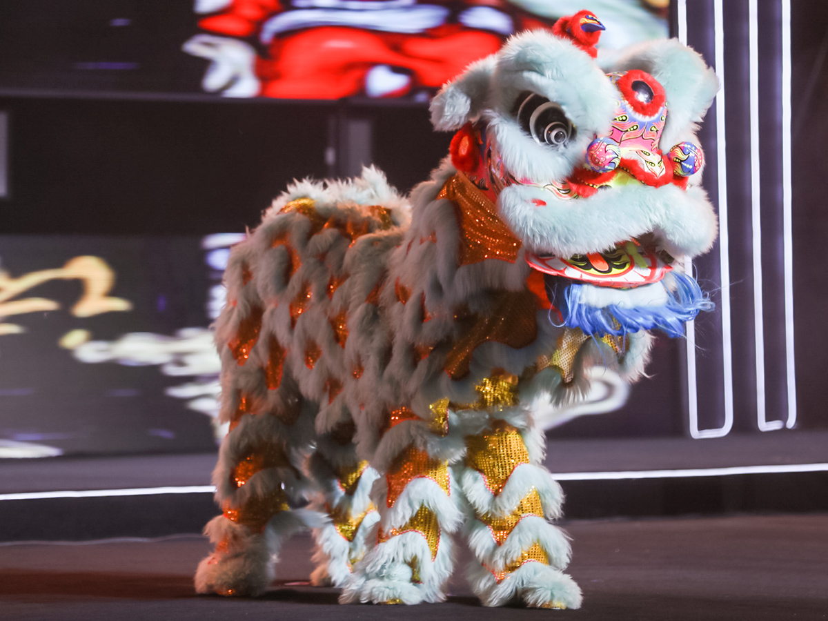 ��˾�_(k��i)�I(y��)�xʽ��{����