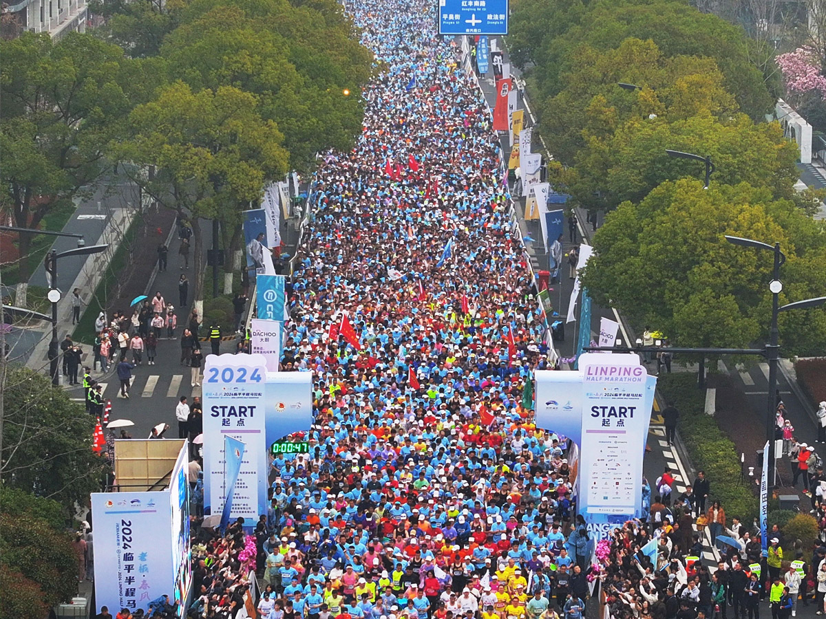 �����R���ɻ�Ӻ���