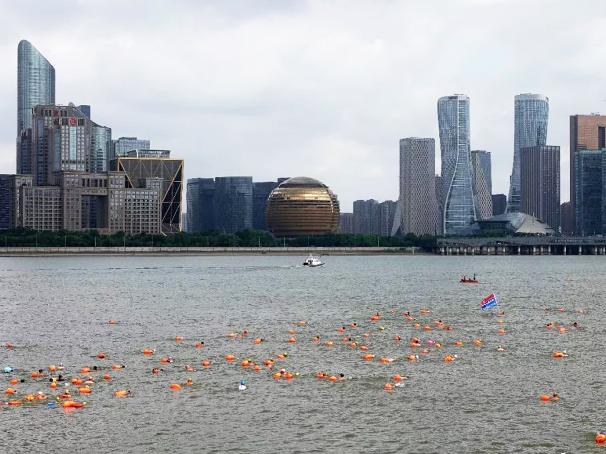 �M���X�������